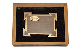 Diploma CNS