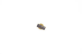 Broche Aylwin presidente