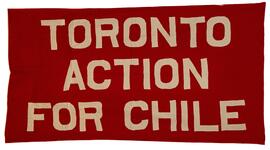 Lienzo Toronto action for Chile