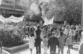 Manifestación