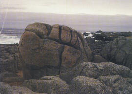 Rocas - Isla Negra