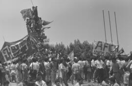 Manifestación