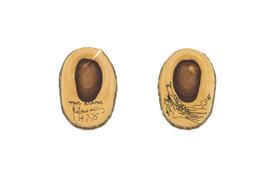 Pieza de madera