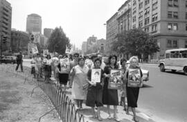 Manifestación