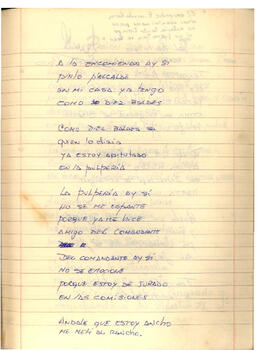 Cuaderno Manuscrito (78)