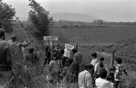 Manifestación