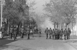 Carabineros