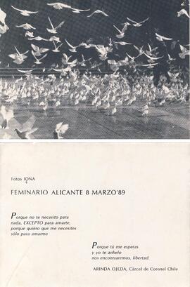 FEMINARIO ALICANTE 8 MARZO '89