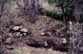 Fosa en Chihuío