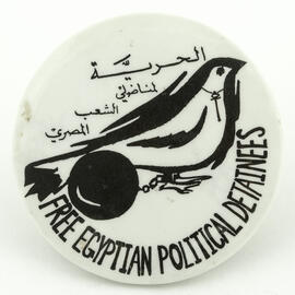 Free egyptian political detainees