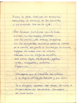 Cuaderno Manuscrito (36)