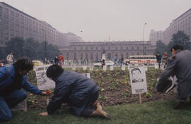 Manifestación