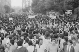 Multitudinaria manifestación