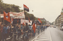 Multitudinaria manifestación