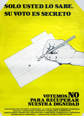 Solo usted lo sabe su voto es secreto