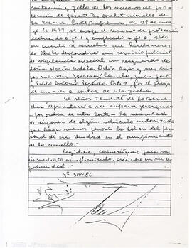 [Se presenta doña María Estela Ortíz...] (4)
