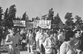 Manifestación