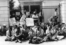 Manifestaciones 29