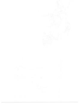 Amnesty Report - AMR 22-003-1987 (10)