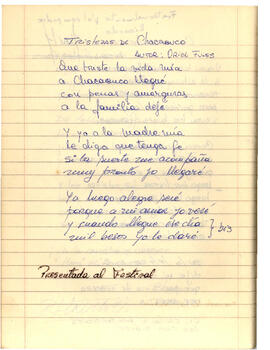 Cuaderno Manuscrito (95)