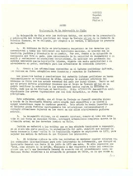 Informe del consejo Económico y Social. Protección de los derechos humanos en Chile. Carta fecha ...