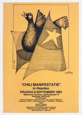 Chili manifestatie - Chile manifestación