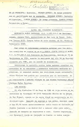 Querella criminal por secuestro y homicidio de María Loreto Castillo (1)