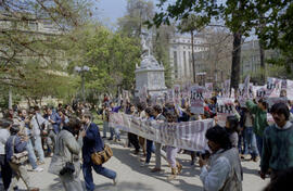 Manifestación