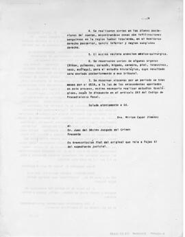 Informe caso Rodrigo Rojas De Negri y Carmen Gloria Quintana (32)