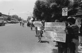 Manifestación