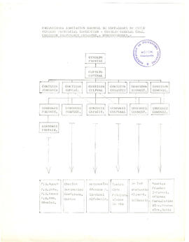 Organigrama, roles, funciones y actividades. (1)