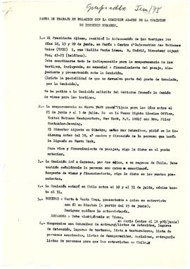 Pauta de trabajo en relación con la comisión ad hoc de la Comisión de derechos humanos. (1)