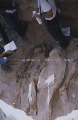 Hallazgo de osamentas