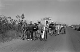 Manifestación