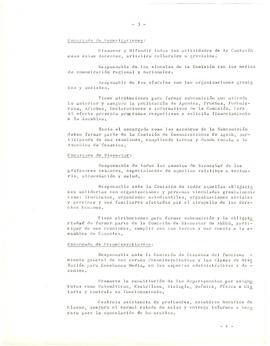 Organigrama, roles, funciones y actividades. (4)