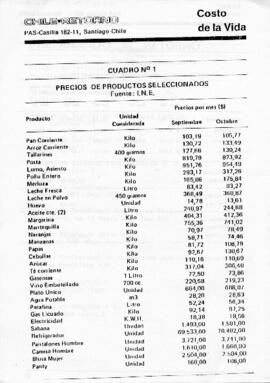 Comisión de información sobre el retorno chileno (10)