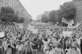 Manifestación