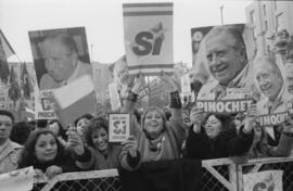 Manifestación por el sí