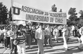 Asociación de Académicos Universidad de Chile